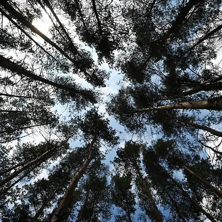 Panorama Noszvaj