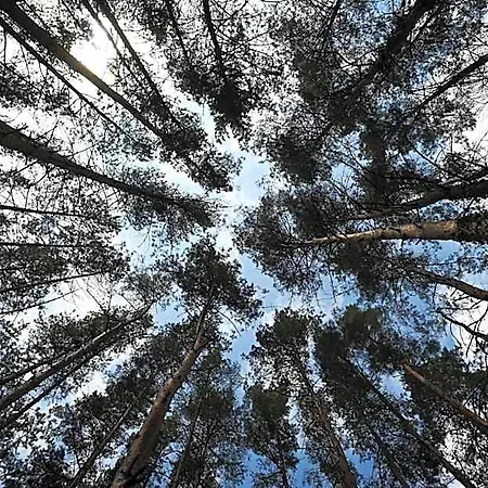 Panorama 3*