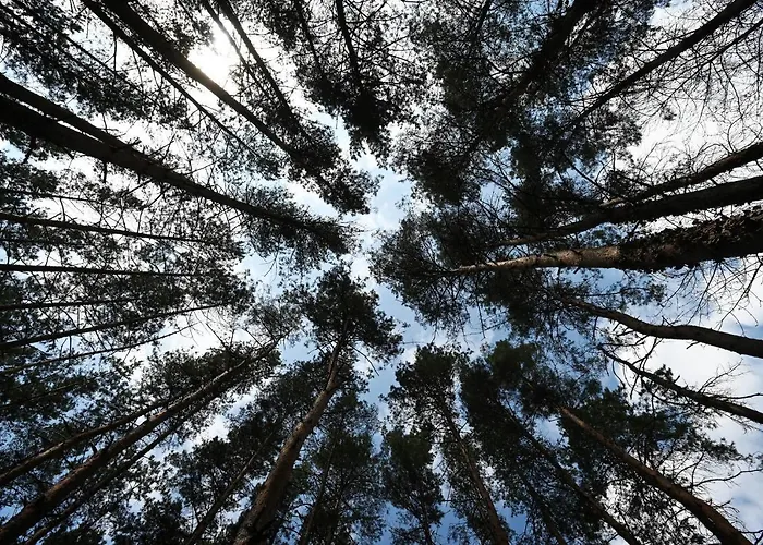 Panorama Noszvaj